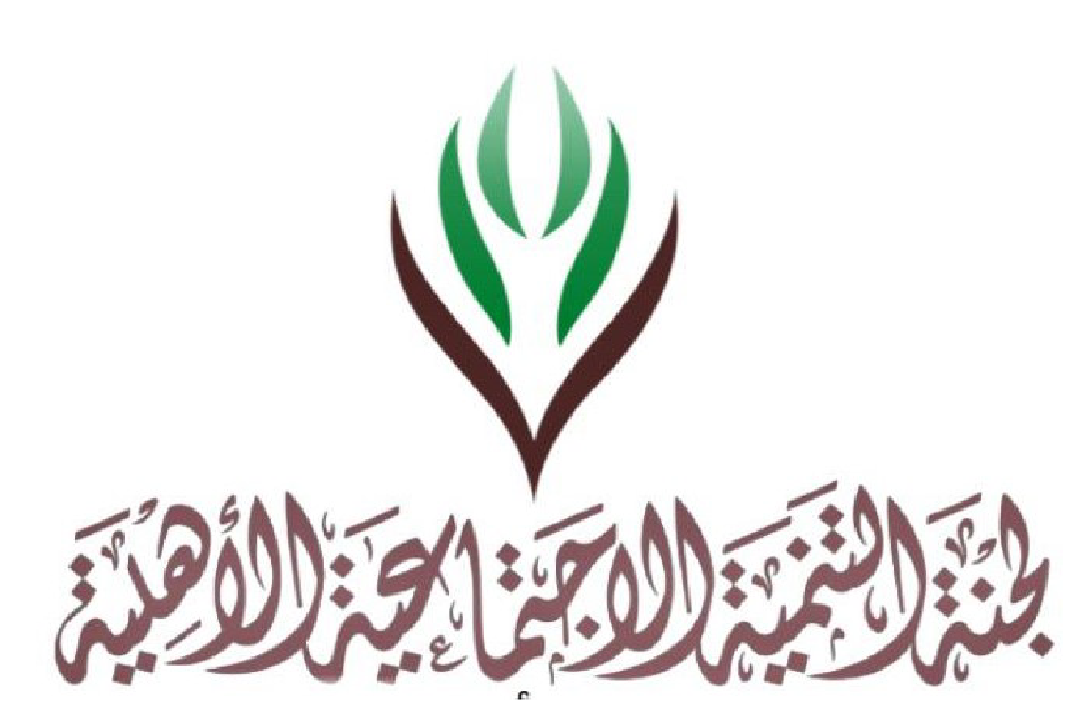 لجنة التنمية الاجتماعية الاهلية